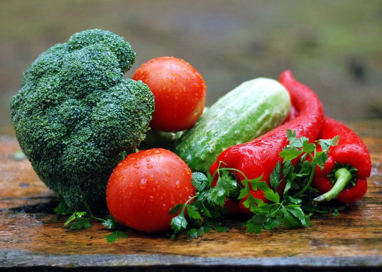 Paleo Diet for Vegetarians